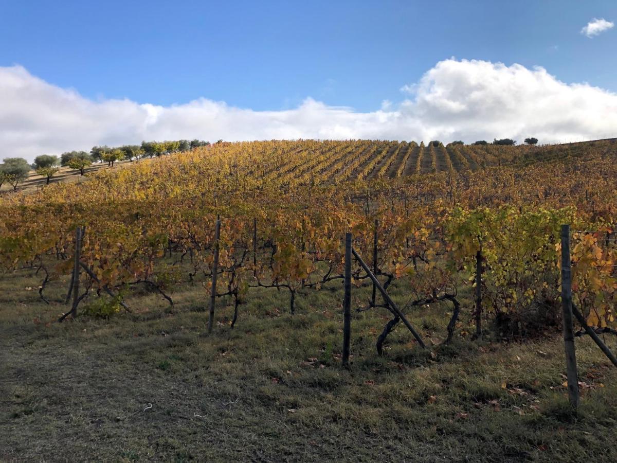 Hotel Quinta Da Pereira E Enricas Agro-Turismo Vila Flor Zewnętrze zdjęcie