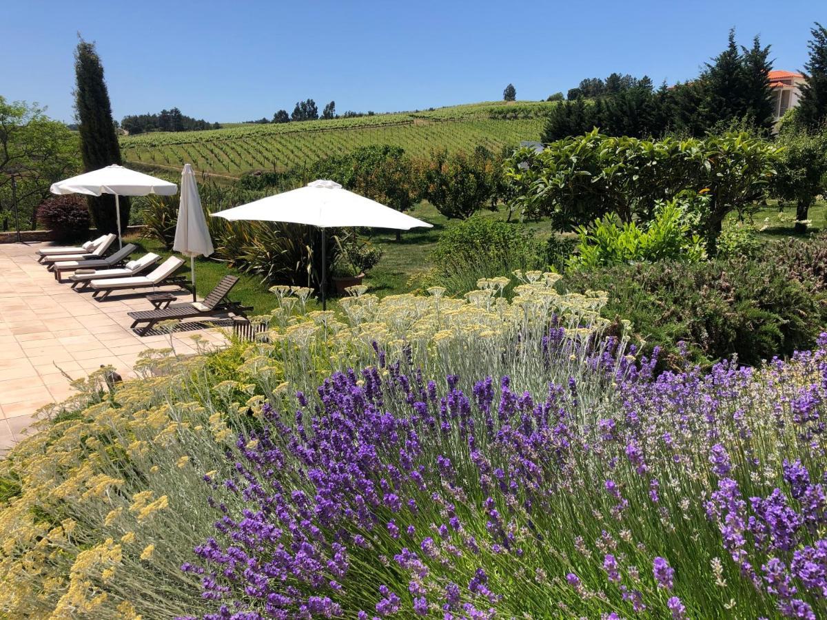 Hotel Quinta Da Pereira E Enricas Agro-Turismo Vila Flor Zewnętrze zdjęcie