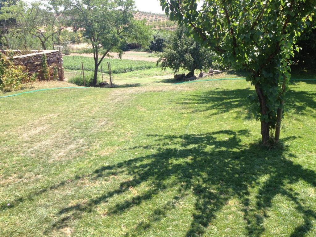 Hotel Quinta Da Pereira E Enricas Agro-Turismo Vila Flor Zewnętrze zdjęcie