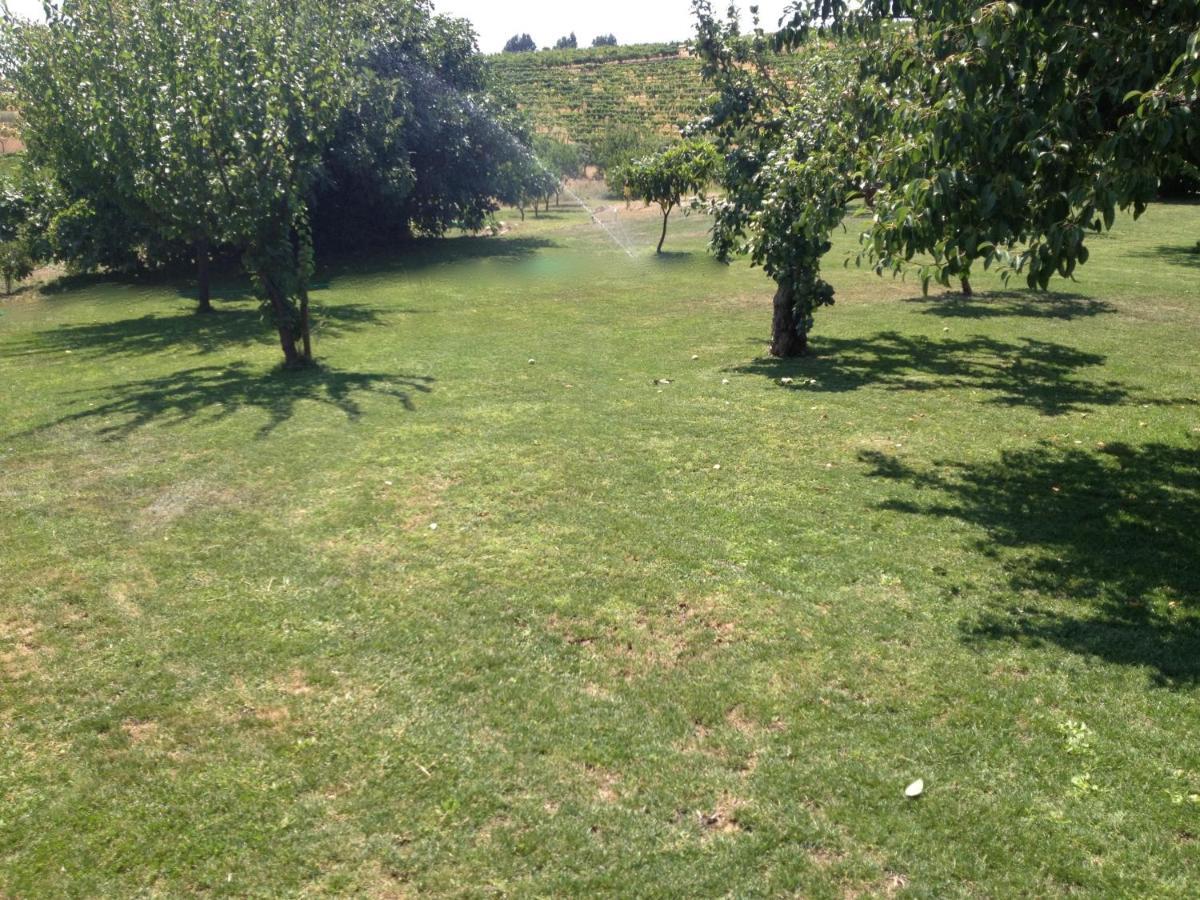 Hotel Quinta Da Pereira E Enricas Agro-Turismo Vila Flor Zewnętrze zdjęcie